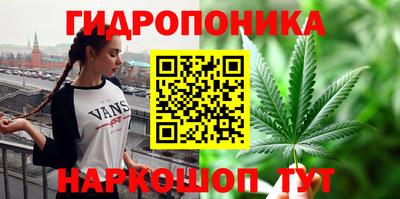 ешки Тара
